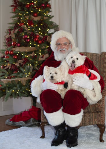 Gallery photo 6 of Santa Pete