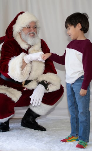 Gallery photo 7 of Santa Pete