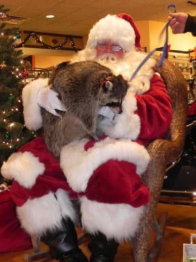 Gallery photo 8 of Santa Phelix