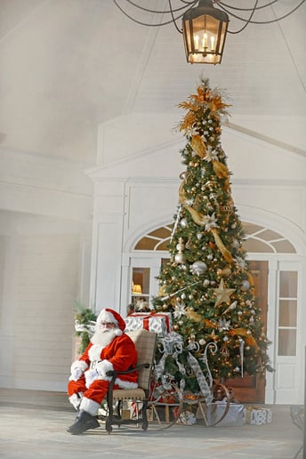 Gallery photo 8 of Santa Phil