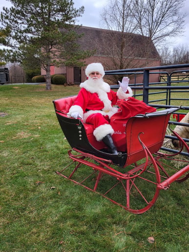 Gallery photo 4 of Santa Joe