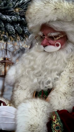 Gallery photo 7 of Santa Ryan
