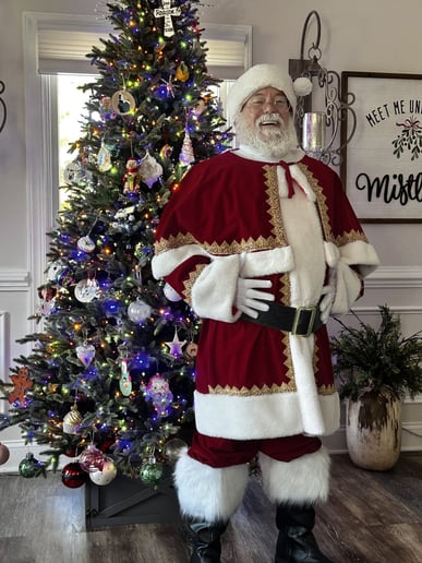 Gallery photo 1 of Santa Poynter