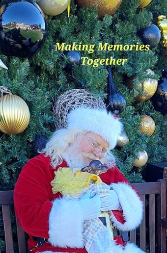 Gallery photo 2 of Santa Q