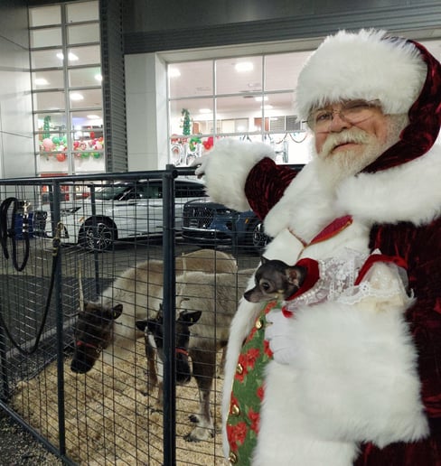 Gallery photo 6 of Santa Q