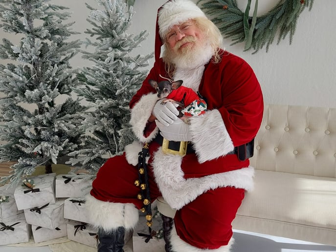 Gallery photo 7 of Santa Q