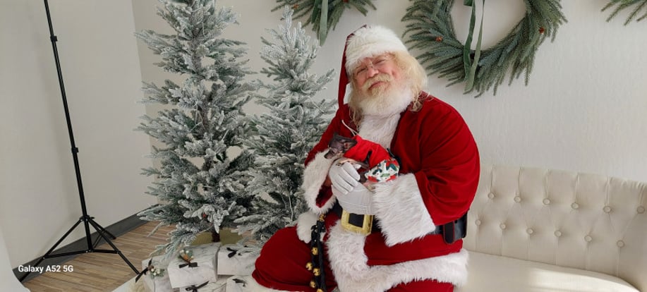 Gallery photo 17 of Santa Q