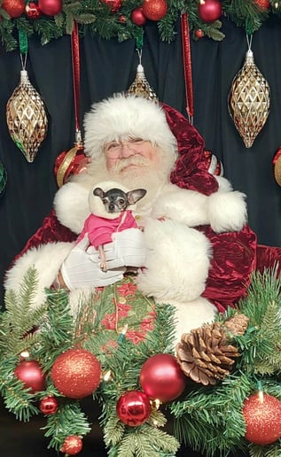 Gallery photo 7 of Santa Q