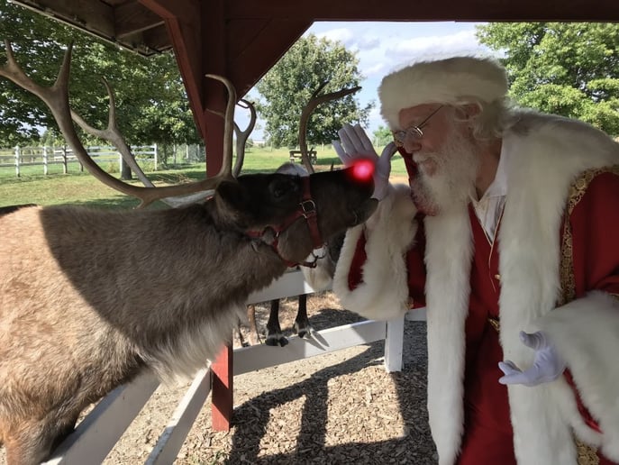 Gallery photo 7 of Santa Ralph