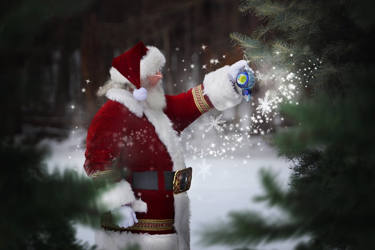 Gallery photo 4 of Santa Randy