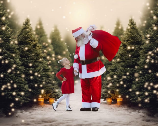 Gallery photo 2 of Santa Randy