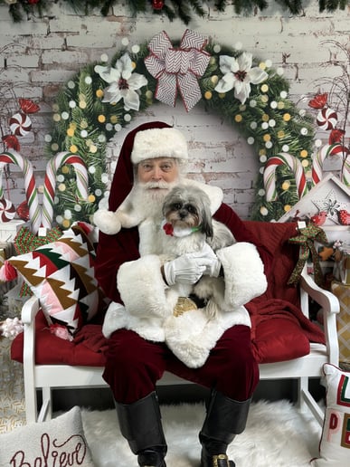 Gallery photo 14 of Santa Ray