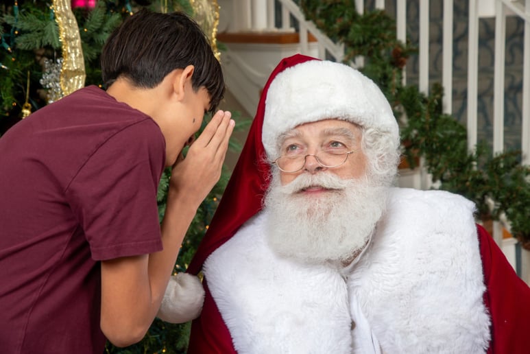 Gallery photo 22 of Santa Ray
