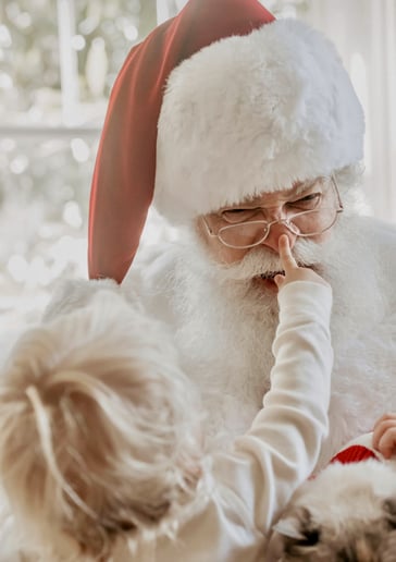 Gallery photo 23 of Santa Ray
