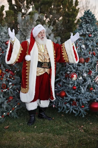 Gallery photo 4 of Santa Ray