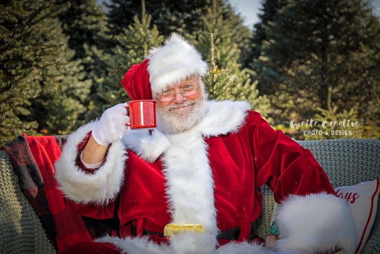 Gallery photo 1 of Santa Ray