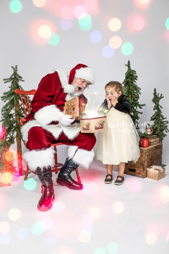 Gallery photo 5 of Santa Ray