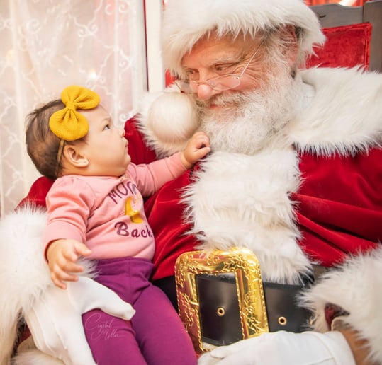 Gallery photo 7 of Santa Ray