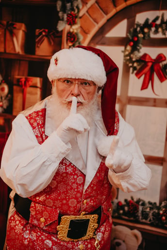 Gallery photo 25 of Santa Ray Semple
