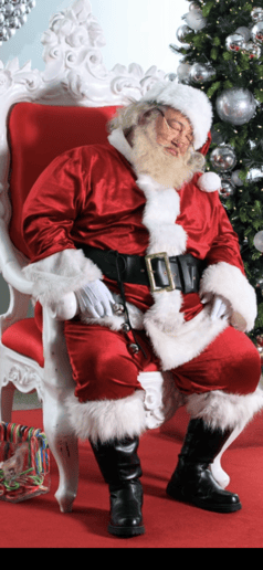 Gallery photo 1 of Santa Ray