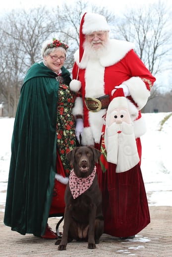 Gallery photo 1 of Santa Brian