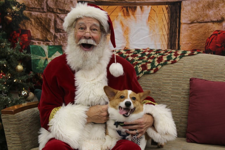 Gallery photo 3 of Santa Reuben