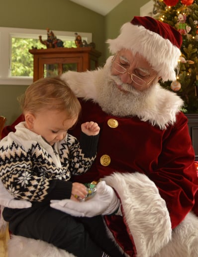 Gallery photo 3 of Santa Rich