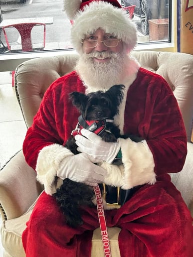 Gallery photo 4 of Santa Rich