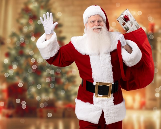Gallery photo 2 of Santa Rich