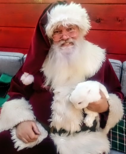 Gallery photo 3 of Santa Rich Siler