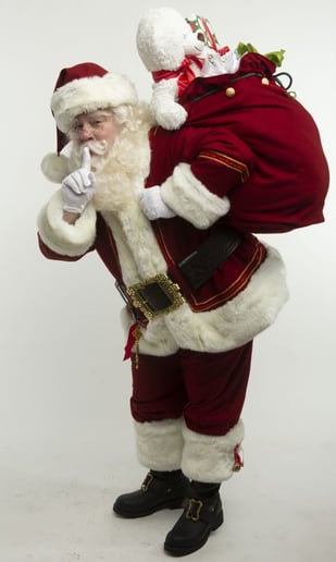 Gallery photo 3 of Santa Richmond