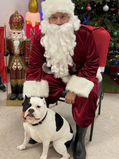 Gallery photo 6 of Santa Rick