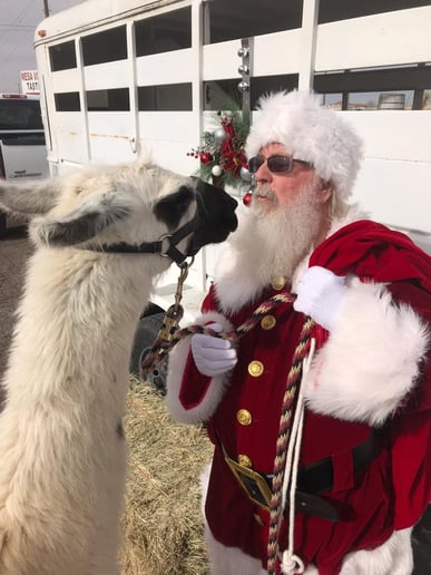 Gallery photo 3 of Santa Rick