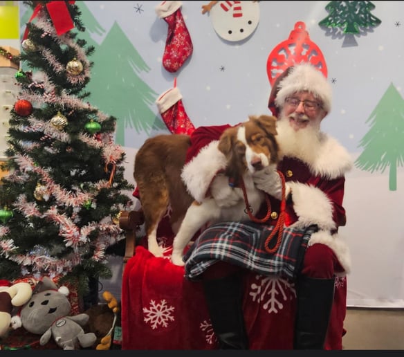 Gallery photo 6 of Santa Rick