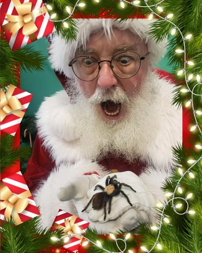 Gallery photo 9 of Santa Rick