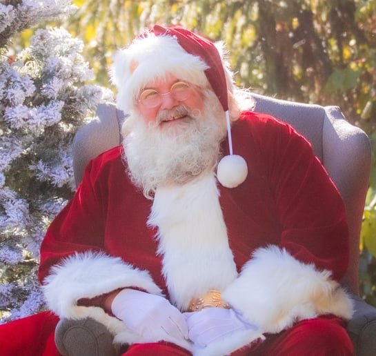 Gallery photo 8 of Santa Rick