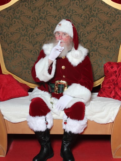 Gallery photo 7 of Santa Rick