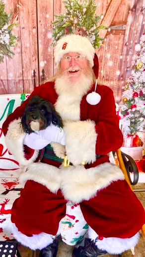 Gallery photo 1 of Santa Rick