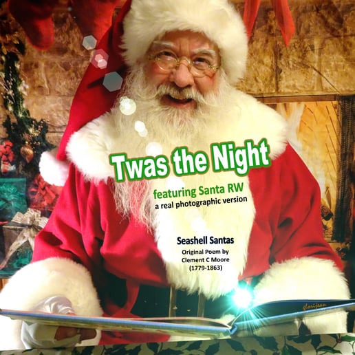 Gallery photo 5 of Santa RW