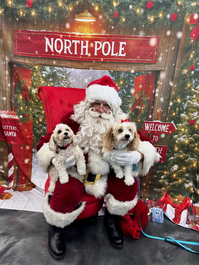 Gallery photo 18 of Santa William