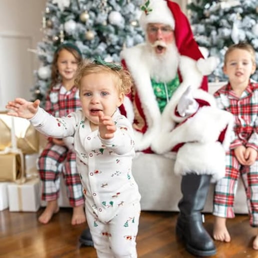 Gallery photo 6 of Ice Cream Santa