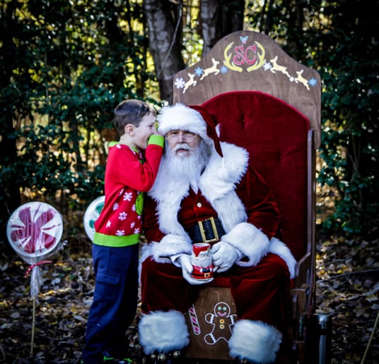 Gallery photo 5 of Santa Rob RVA