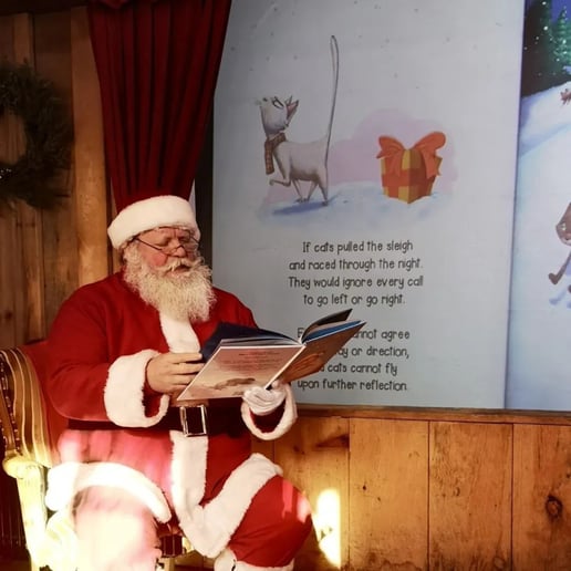 Gallery photo 8 of Santa Rob