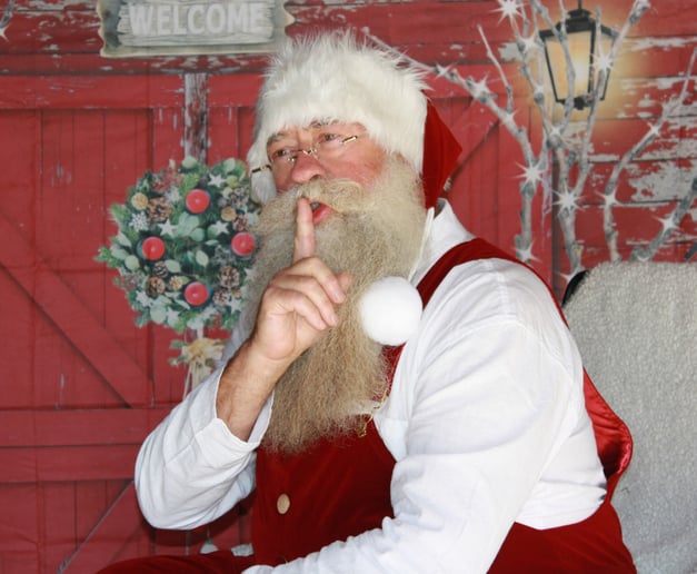 Gallery photo 10 of Jolly Santa Mike & Mrs. Misty Claus