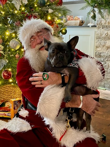 Gallery photo 9 of Jolly Santa Mike & Mrs. Misty Claus