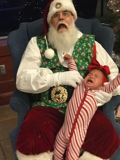 Gallery photo 2 of Santa Rodney