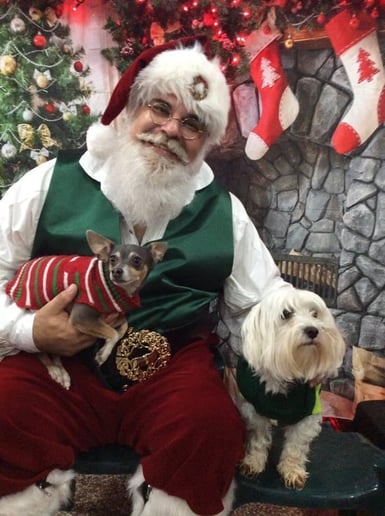 Gallery photo 5 of Santa Rodney