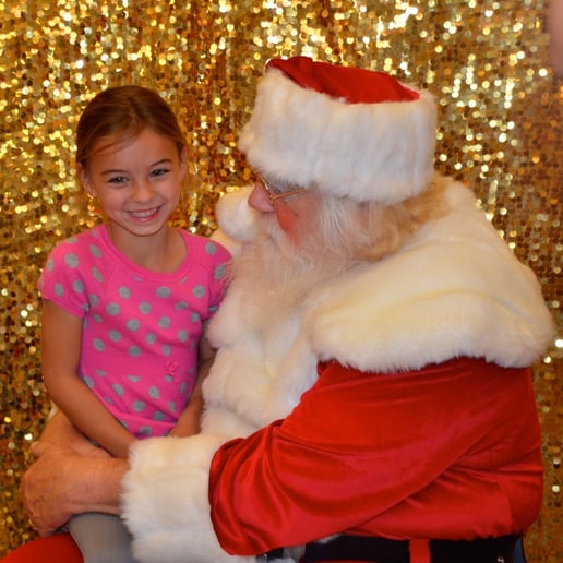 Gallery photo 3 of Santa Roger