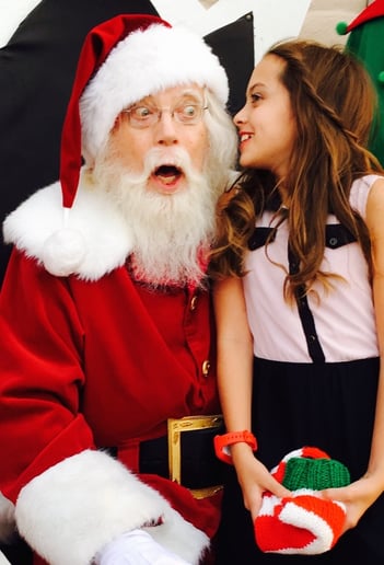 Gallery photo 2 of Santa Roger