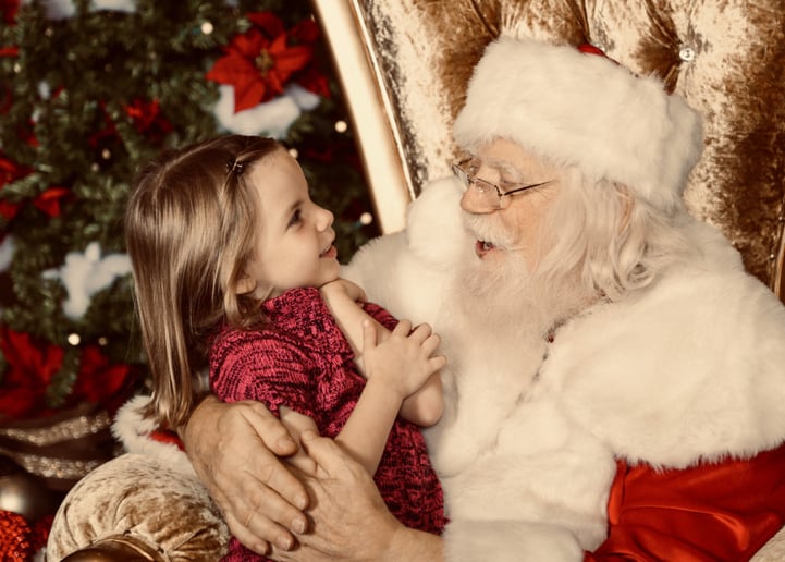 Gallery photo 10 of Santa Roger
